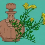 Propiedades Mágicas de la Ruda