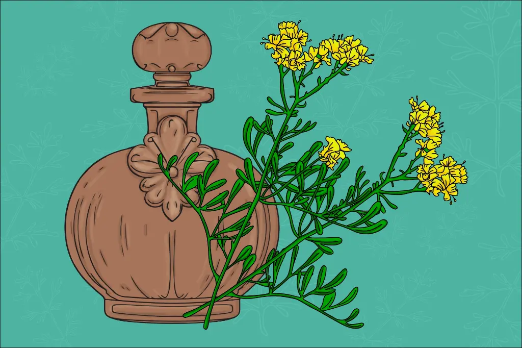 Propiedades Mágicas de la Ruda